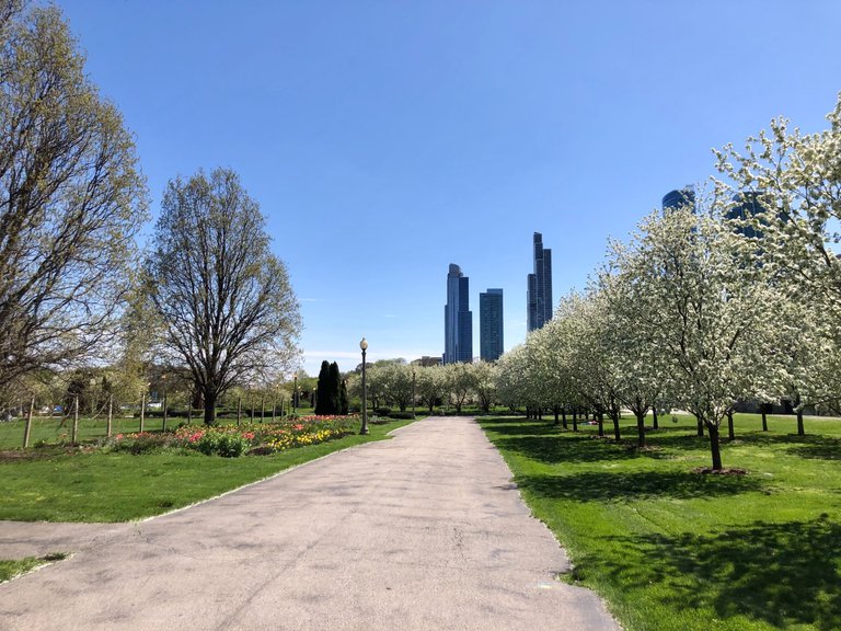 GrantParkChicago_1.jpg