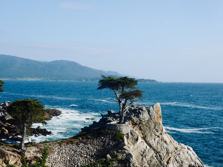 17MileDrive_CA_5.jpg