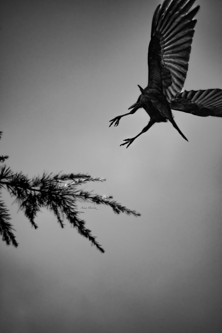 DSC_5860.JPG