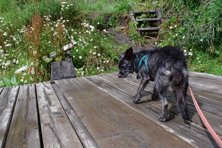 DSC_2458.JPG