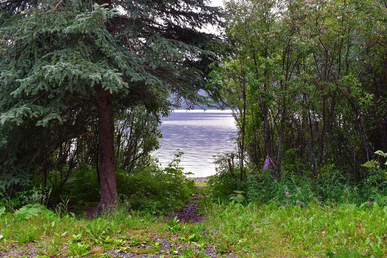 DSC_2496.JPG