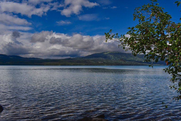 DSC_2480.JPG