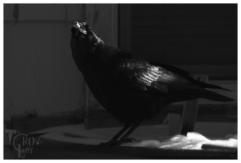 DSC_5132.JPG