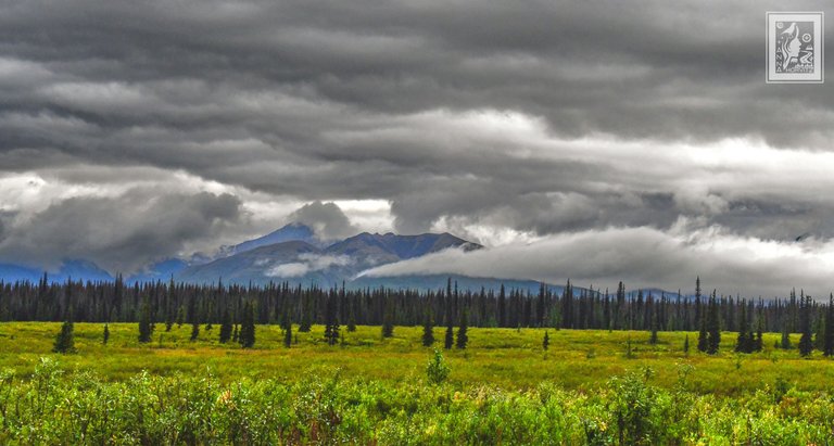 DSC_4531.JPG