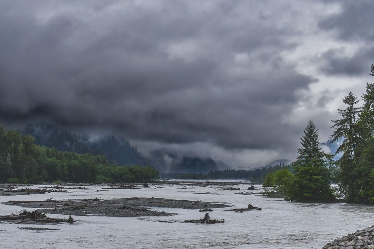 DSC_2436.JPG