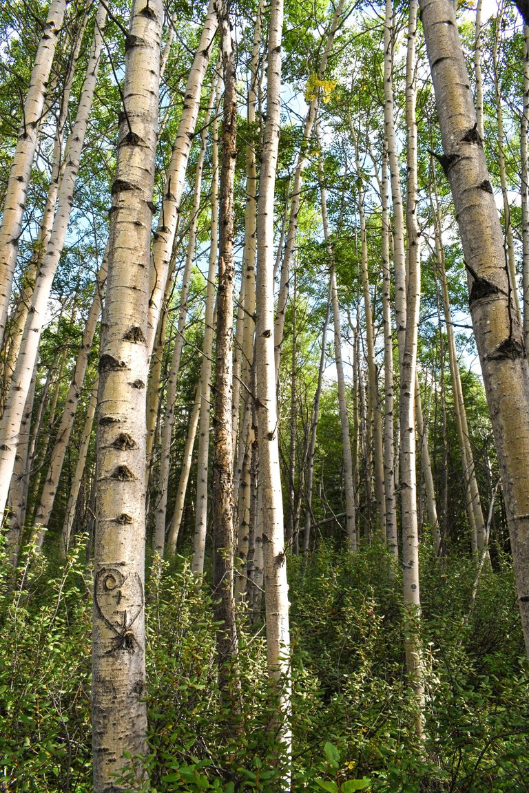 DSC_4055.JPG