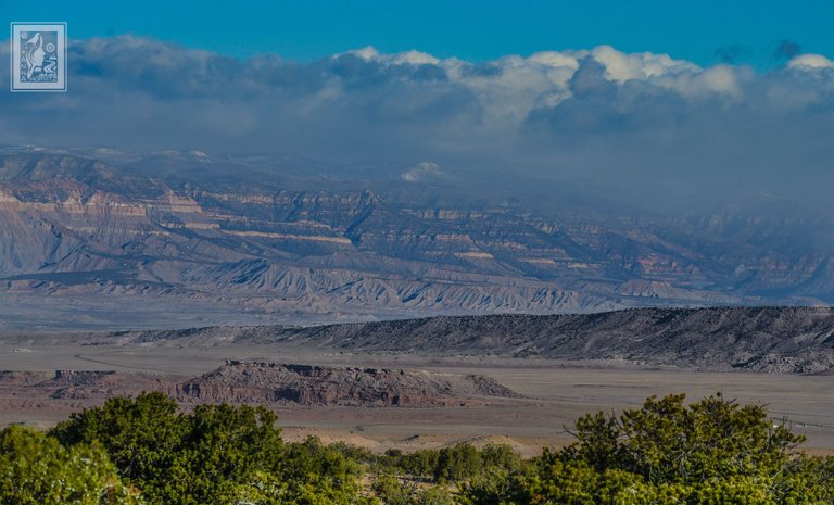 DSC_0353 1.JPG