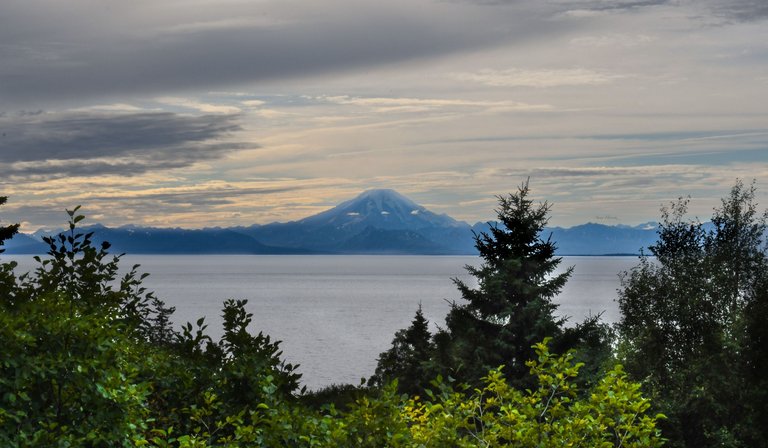DSC_4179.JPG