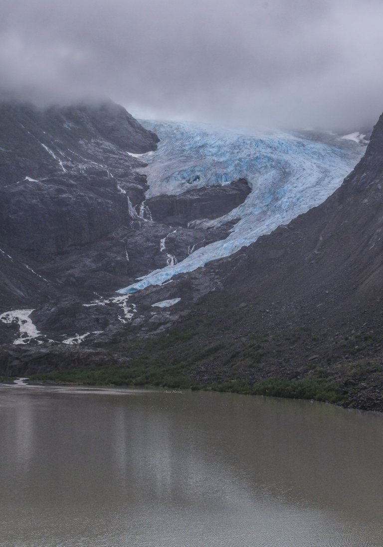DSC_2440.JPG