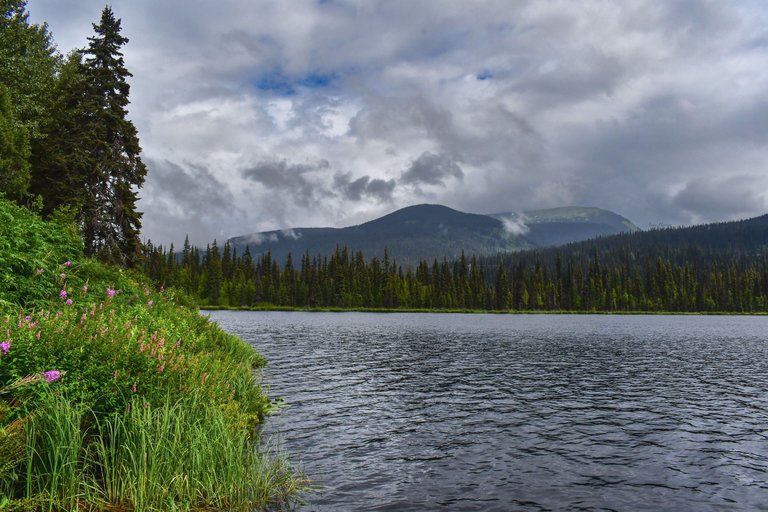 DSC_2449.JPG