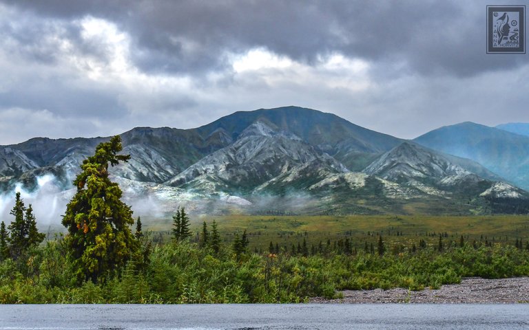 DSC_4536.JPG
