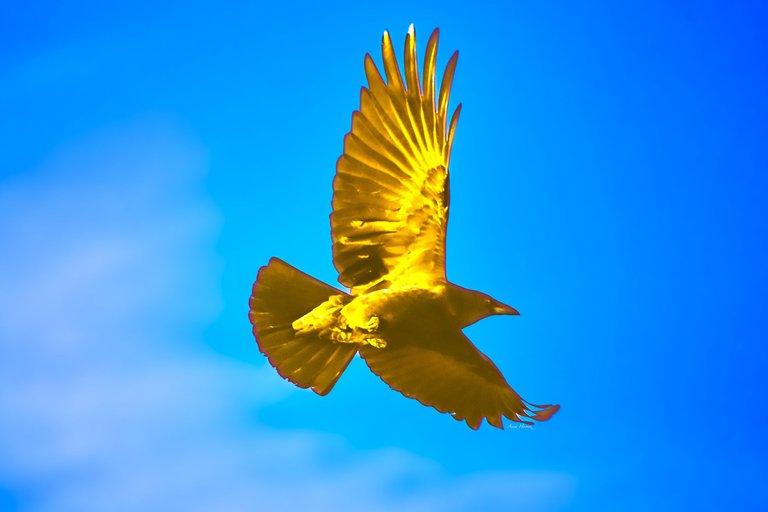 DSC_7547.JPG