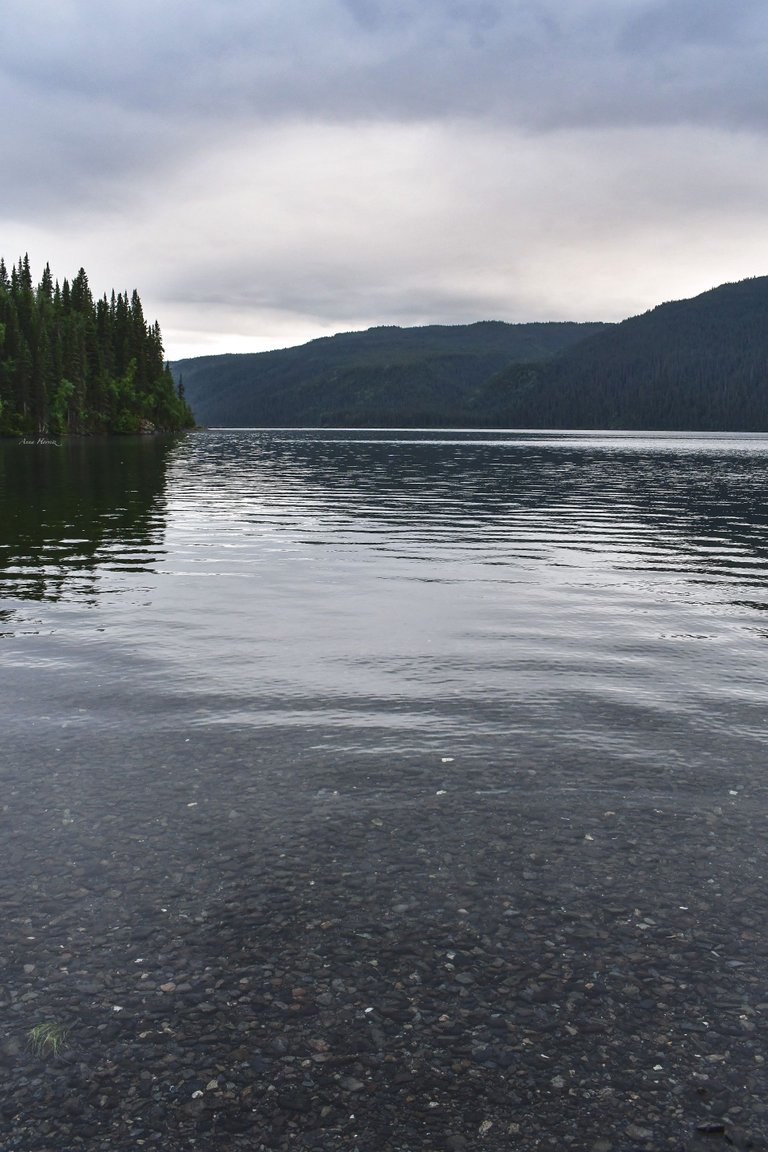 DSC_2499.JPG