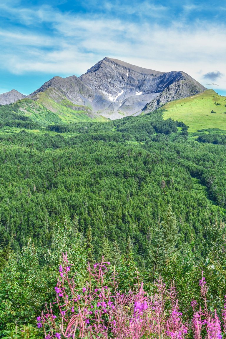 DSC_4172.JPG