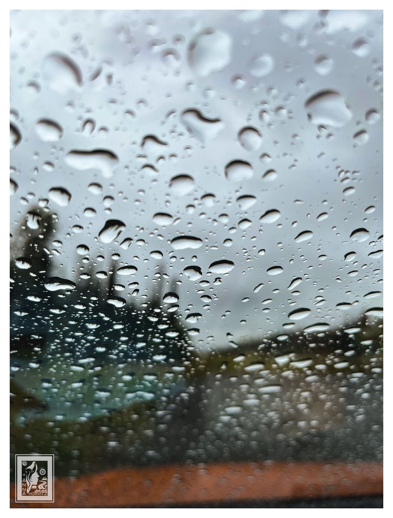 68244589562__FD3004B3-CFDC-4F35-936D-FA92863B78E8.JPG