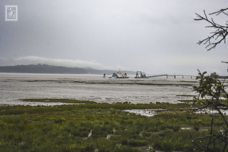 DSC_4504.JPG