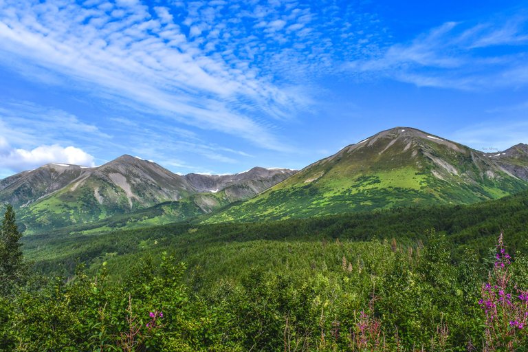 DSC_4170.JPG