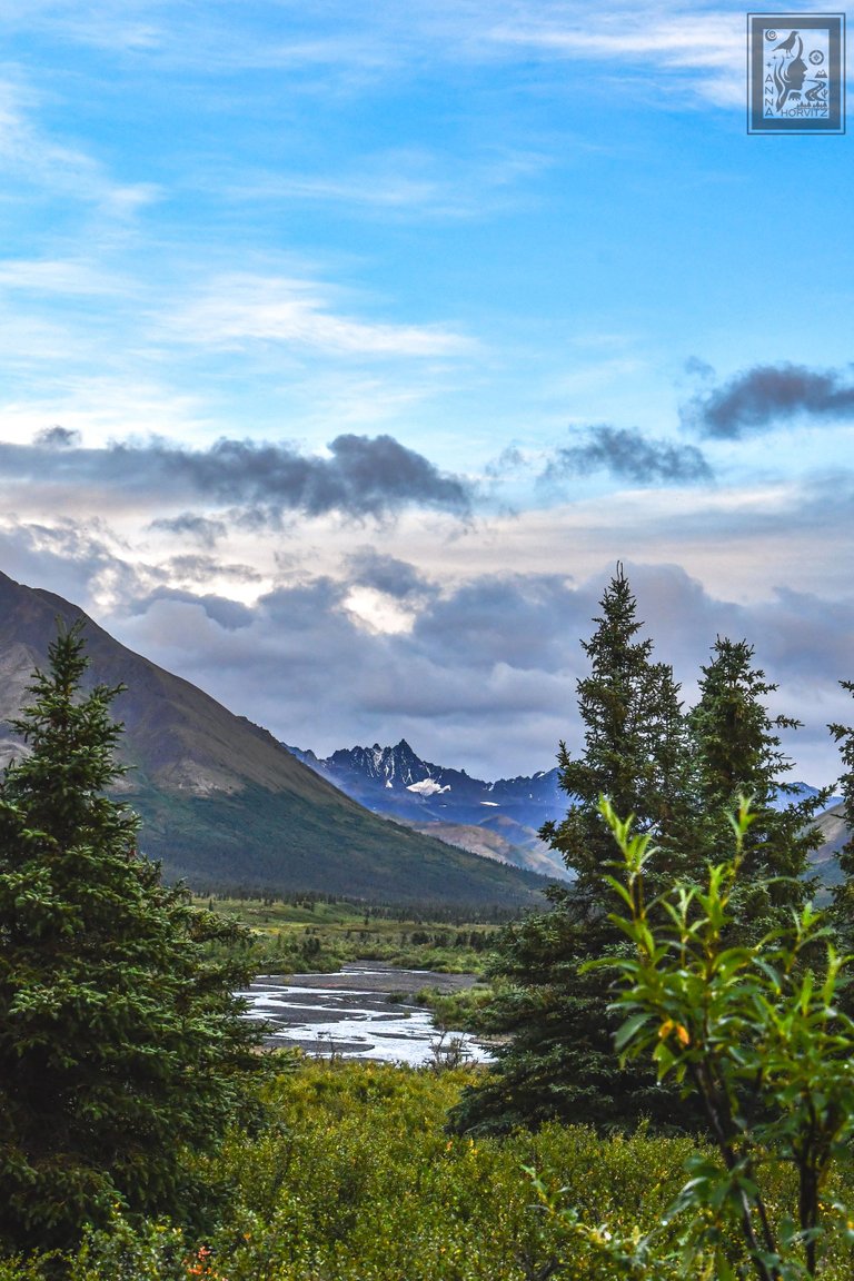 DSC_4562.JPG