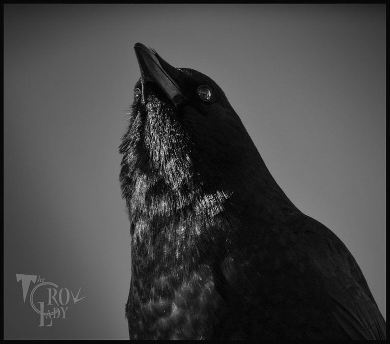 DSC_9691.JPG