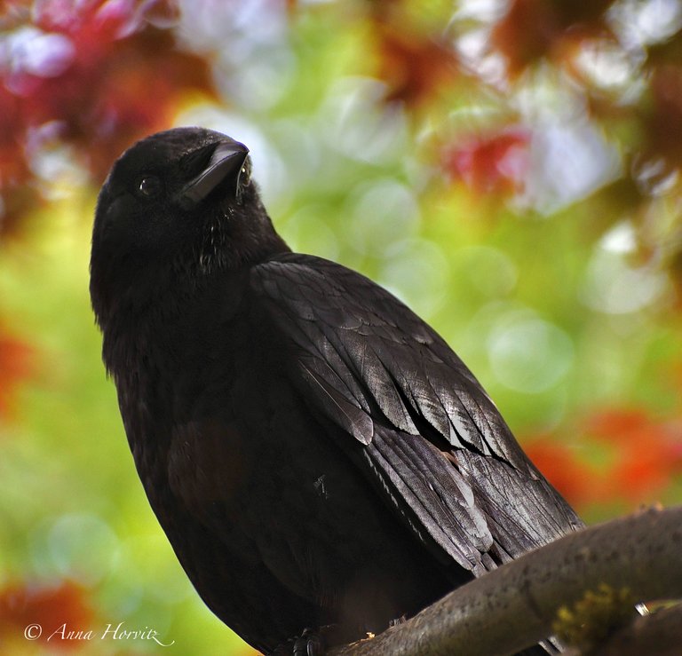 DSC_5413.jpg