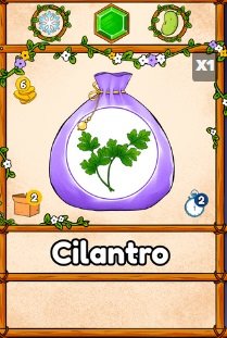 cilantro.jpg