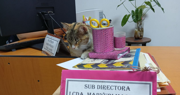 Imagen del post
