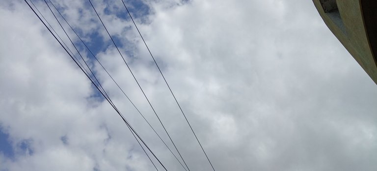 1000236724.jpg