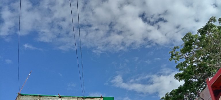 1000236740.jpg