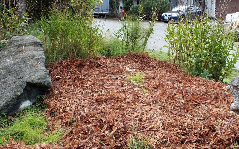 CT0347-Mulch.JPG