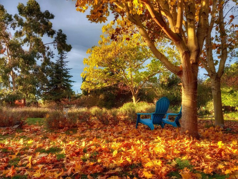 CT-0280-AutumnChairs.jpg