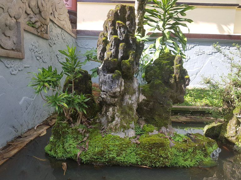 20220530_153309.jpg
