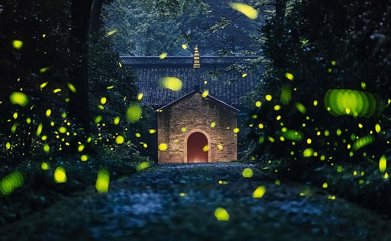 Fireflies_at_Linggu_Temple,_20160627.jpg