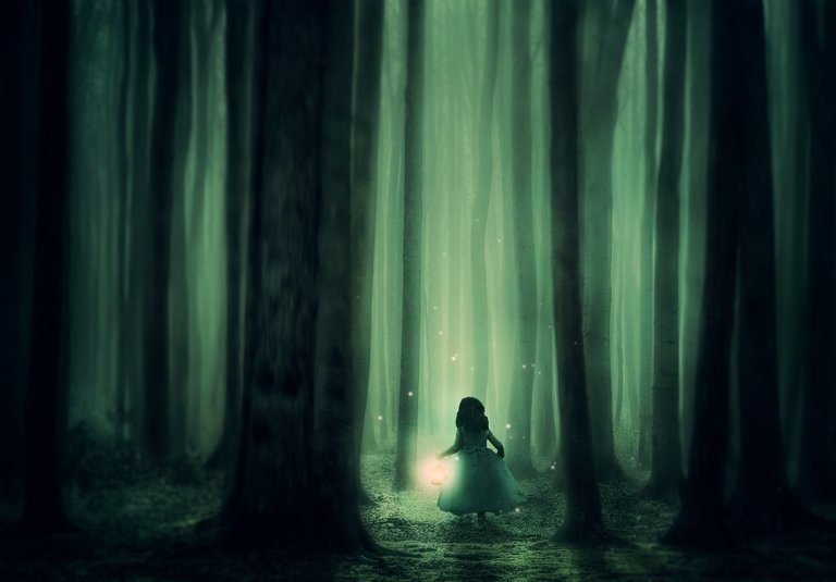 forest-girl-trees-fog-lantern-mood-1460319-pxhere.com.jpg