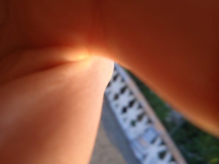 IMG_20230321_064740_1.jpg