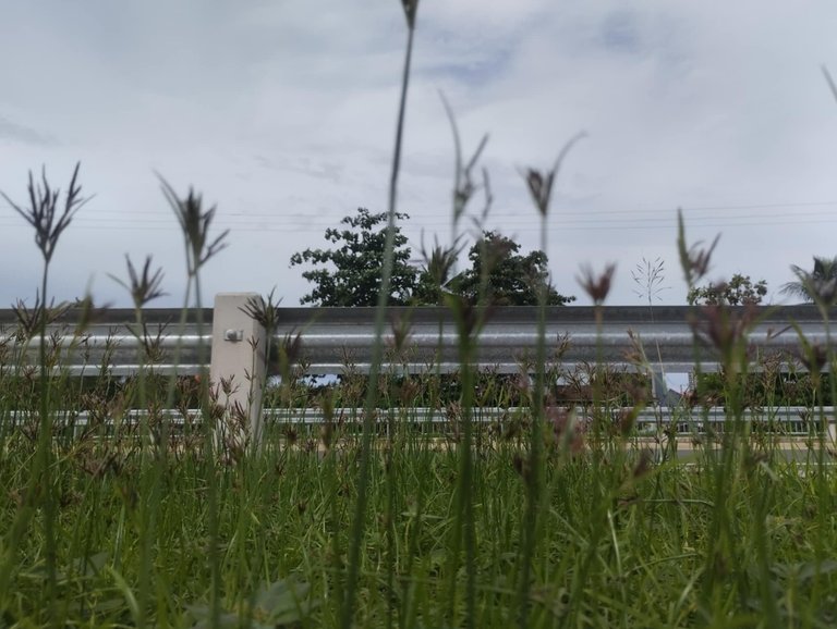 Wednesday Walk: Glimmers along the riverside boulevard after a long first day of school