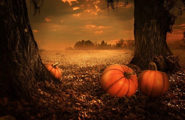 pumpkins-5675502_640.jpg