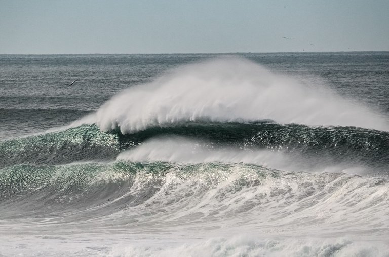 big waves at ocean beach.jpg