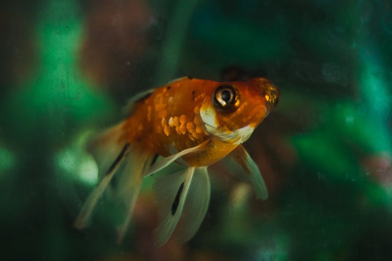 _MG_6695.jpg