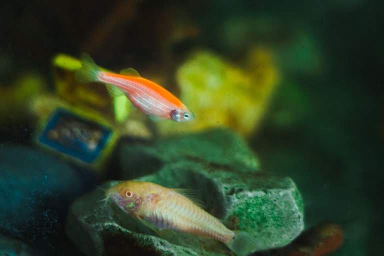 _MG_6693.jpg