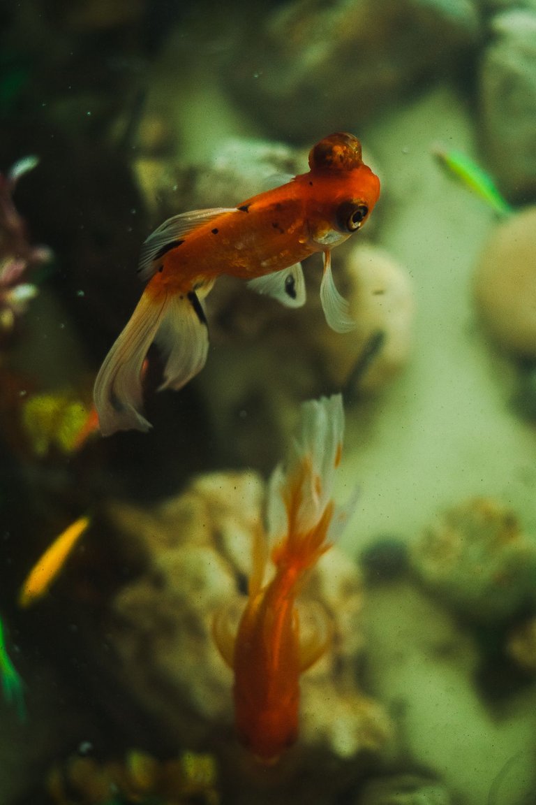_MG_6714.jpg