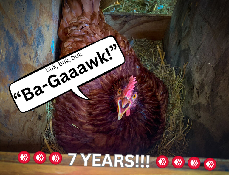 Ba-Gaaawk!.png