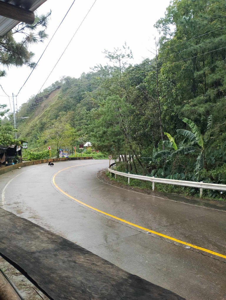 highway.jpg