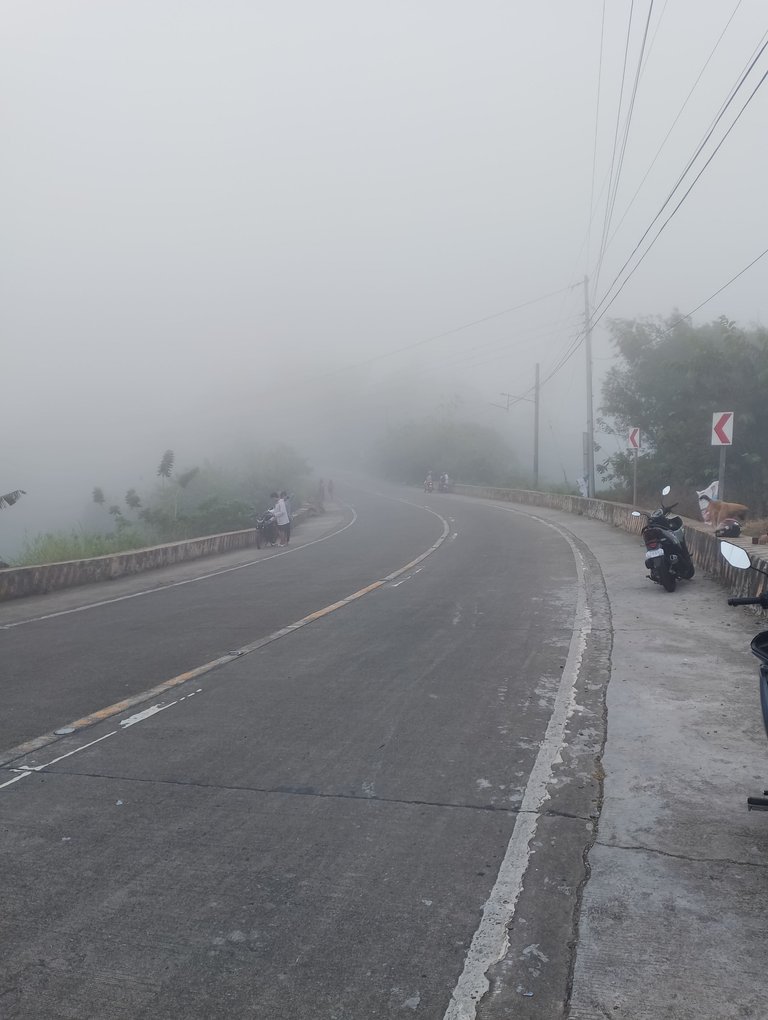 foggy.jpg