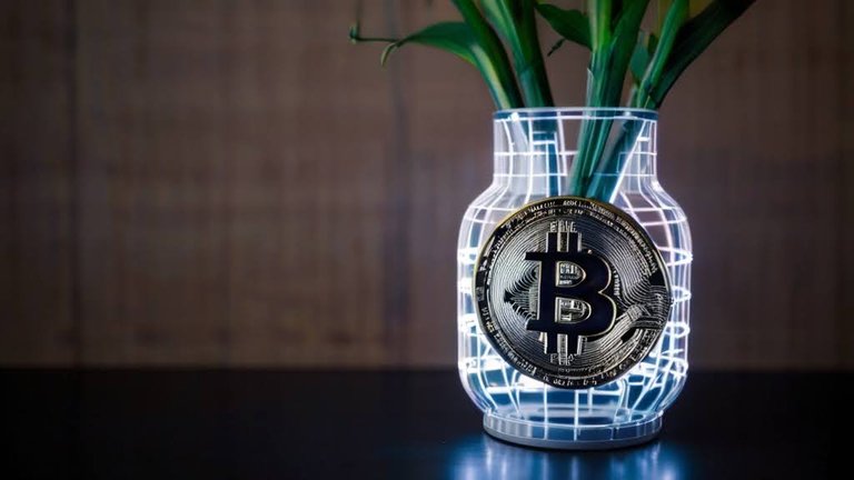 Default_A_flower_vase_with_a_bitcoin_logo_and_circuits_2.jpg
