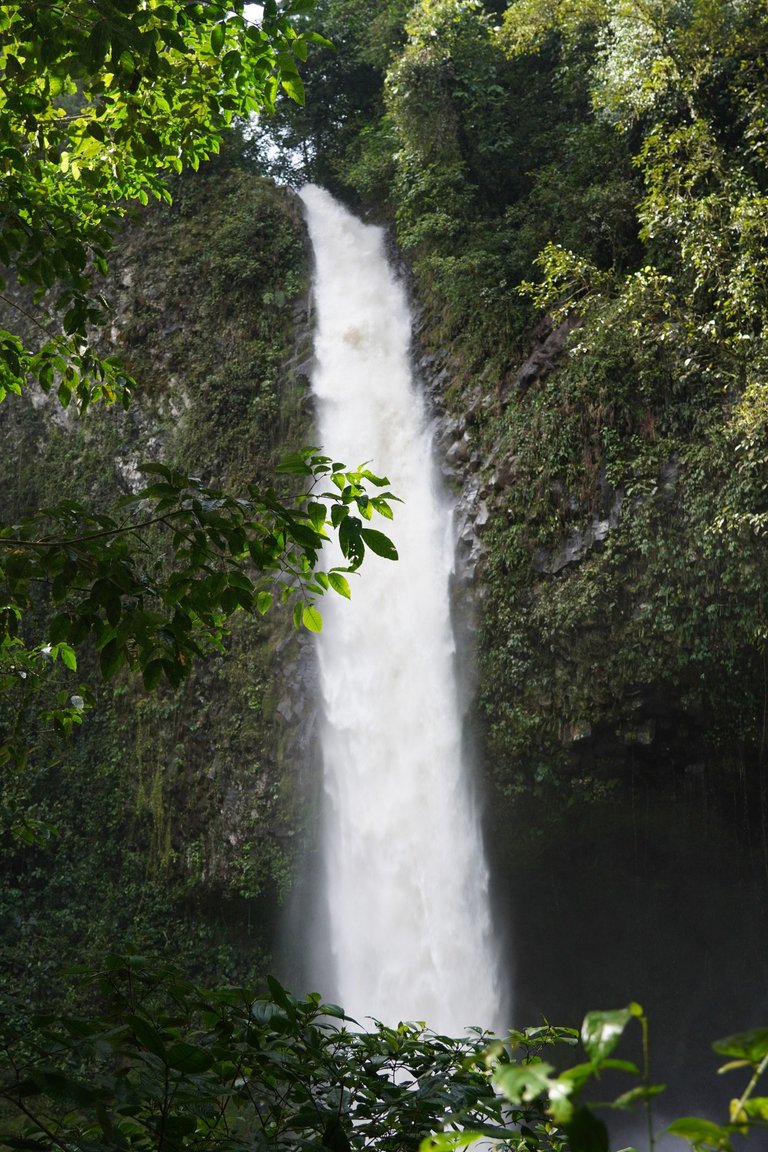 DSC00201.JPG