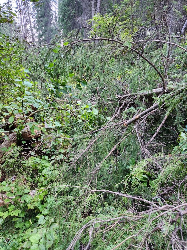 20230819_161710.jpg