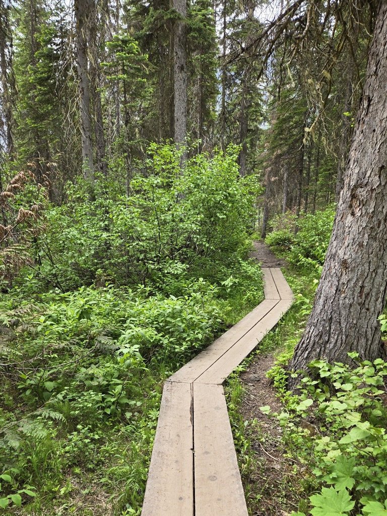 20240622_143607.jpg