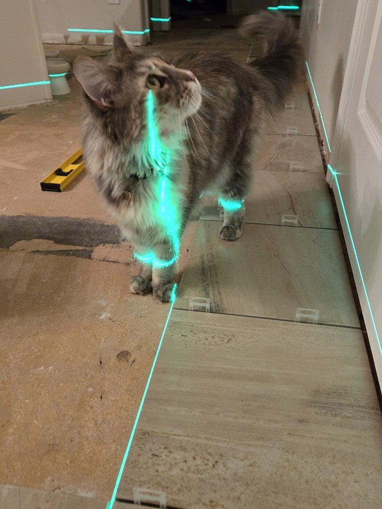 20241203_211855.jpg