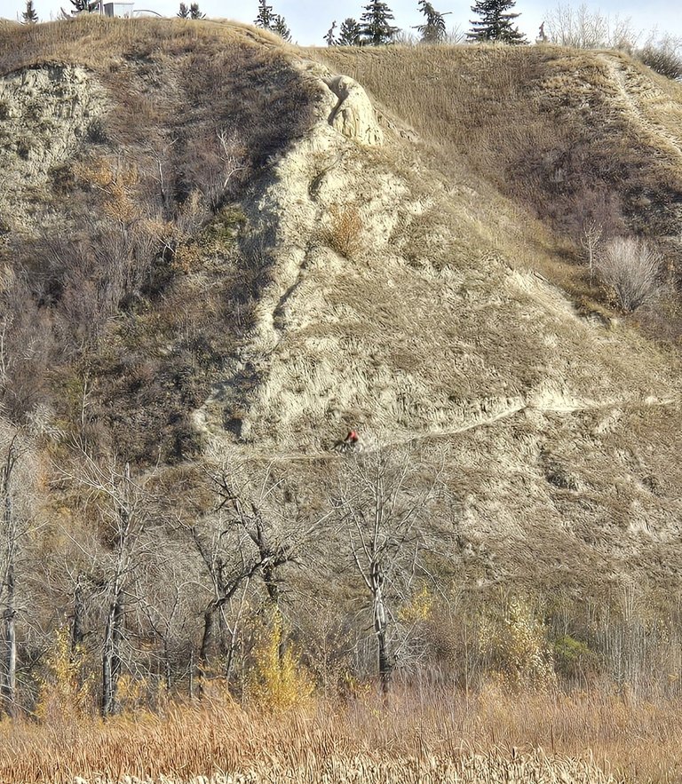 20241020_132538.jpg