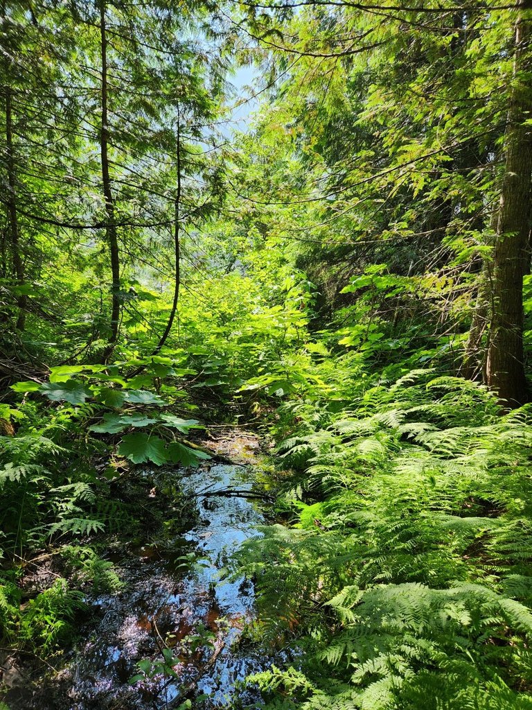 20230716_103638.jpg